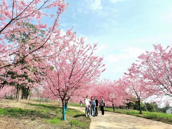 湖南德晴天澤建設(shè)工程有限公司,房屋建筑工程施工,園林綠化設(shè)計(jì)施工,道路工程施工哪家好