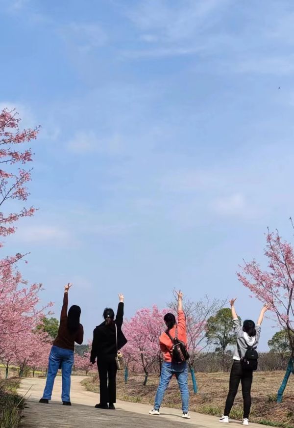 湖南德晴天澤建設(shè)工程有限公司,房屋建筑工程施工,園林綠化設(shè)計(jì)施工,道路工程施工哪家好