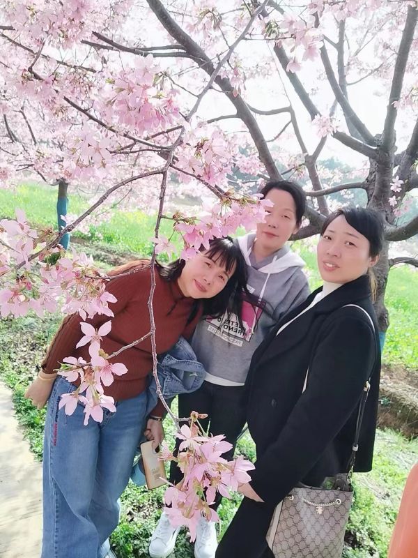 湖南德晴天澤建設(shè)工程有限公司,房屋建筑工程施工,園林綠化設(shè)計(jì)施工,道路工程施工哪家好